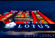 HOTEL LOTUS 東大阪店（ホテル ロータス）【Best Delight Group】