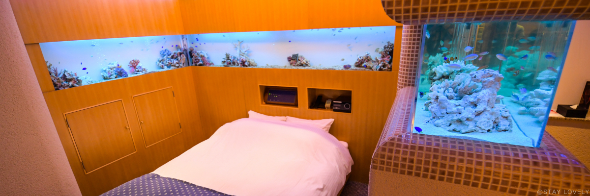 WATER HOTEL Cy(ウォーターホテル シー)