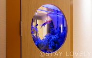 310号室①【Aquarium】（Type：D／Deluxe A）
Stay:￥12,900～，
Rest:￥6,900～　　NEW！