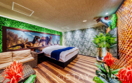 408号室①【ダイナソーroom】
（Type：B／Royal）
Stay:￥9,900～，
Rest:￥18,900～　　NEW！