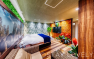 408号室③【ダイナソーroom】
（Type：B／Royal）
Stay:￥9,900～，
Rest:￥18,900～　　NEW！