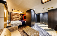 505号室①【ダイナソーroom】
（Type：D／Deluxe A）
Stay:￥12,900～，
Rest:￥6,900～　　NEW！