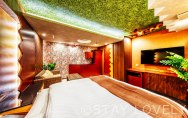 603号室②【ダイナソーroom】
（Type：E／Deluxe B）
Stay:￥11,900～，
Rest:￥6,490～　　NEW！