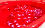 限定設備【露天風呂（Private open-air bath）】③／４F　NEW！