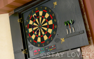 【限定設備】Darts machine