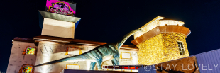 HOTEL ARTIA DINOSAUR Sensual 岐阜店(ホテル アルティア ダイナソー センシュアル)【Best Delight Group】