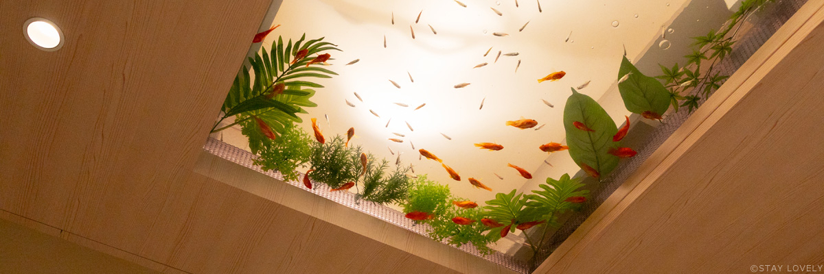 HOTEL ELDIA Japanese Modern* BestDelightグループ *