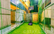  Sports attractions【Common areas】⑨　NEW！