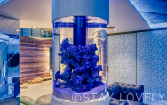 Aquarium／226号室【Rank：C】Rest：￥4,900～／Stay：￥8,900～