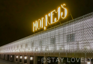 MONKEY'S HOTEL