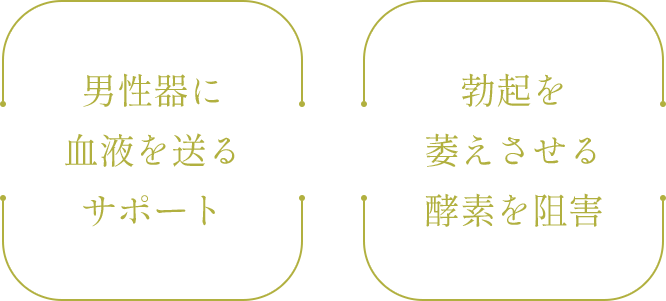 男性機に血液を送るサポート・ボッキを萎えさせる酵素を阻害